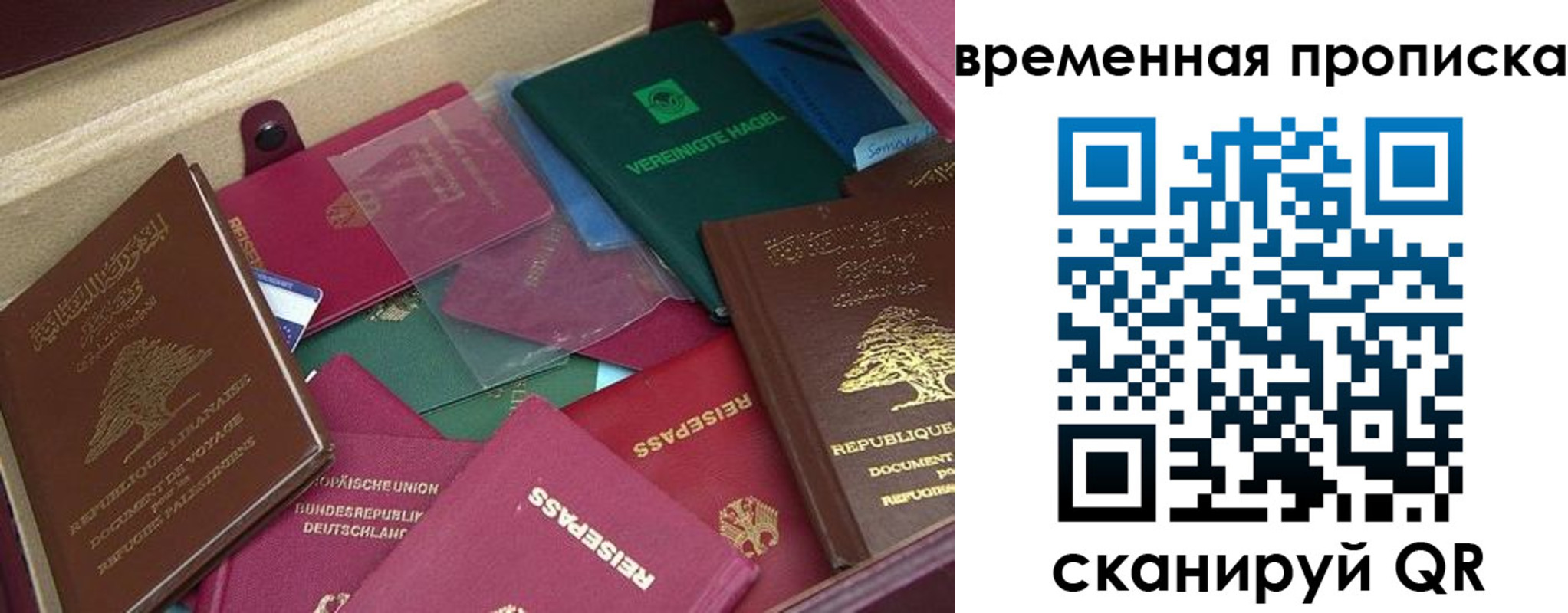 прописка в Губкинском